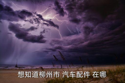 想知道柳州市 汽车配件 在哪