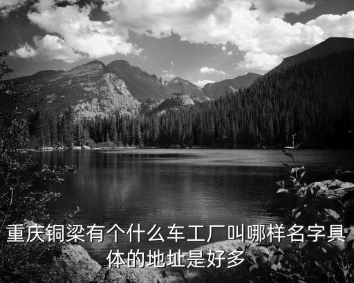 铜梁新能源汽配厂地址，铜梁有哪些电子厂