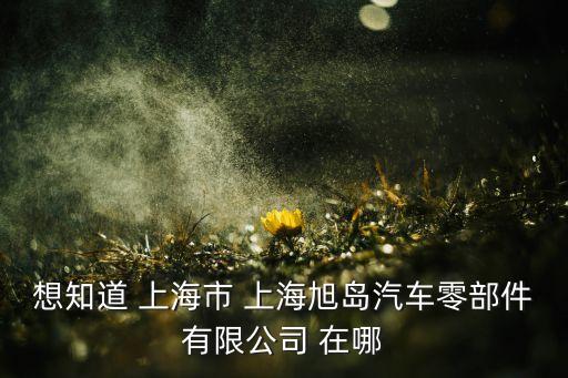 想知道 上海市 上海旭岛汽车零部件有限公司 在哪