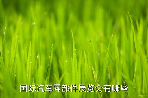 国际汽车零部件展览会有哪些