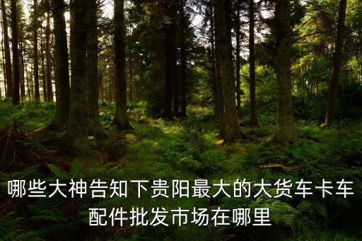 哪些大神告知下贵阳最大的大货车卡车配件批发市场在哪里