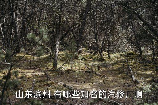 山东滨州 有哪些知名的汽修厂啊