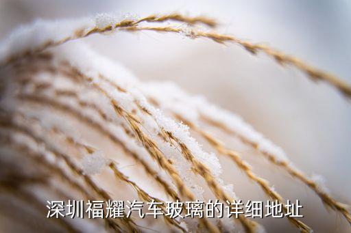 深圳福耀汽车玻璃的详细地址