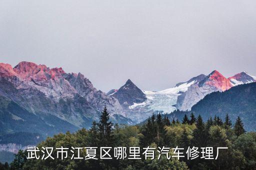 武汉市江夏区哪里有汽车修理厂