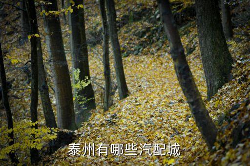广德县汽配城地址，安徽省宣城市哪里有汽配城