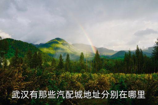 武汉有那些汽配城地址分别在哪里