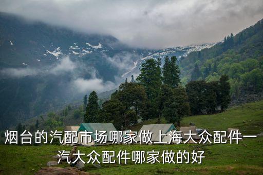 烟台的汽配市场哪家做上海大众配件一汽大众配件哪家做的好