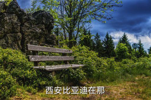 西安比亚迪在那