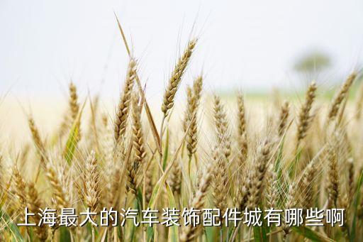 上海最大的汽车装饰配件城有哪些啊