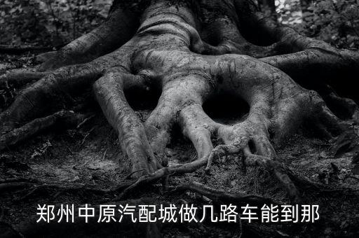 郑州中原汽配城做几路车能到那