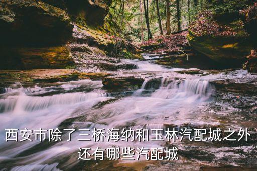 西安市除了三桥海纳和玉林汽配城之外还有哪些汽配城