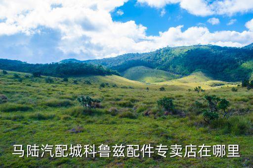 马陆汽配城科鲁兹配件专卖店在哪里