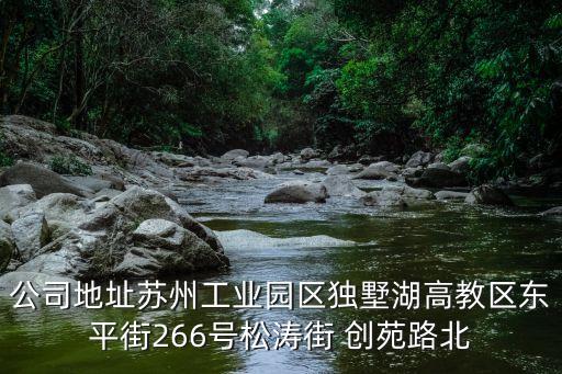 公司地址苏州工业园区独墅湖高教区东平街266号松涛街 创苑路北