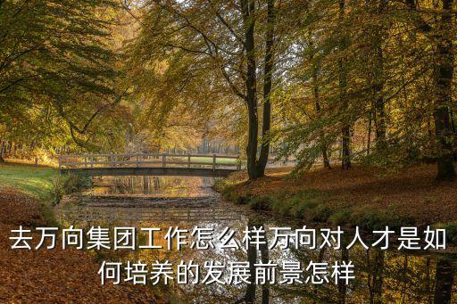 去万向集团工作怎么样万向对人才是如何培养的发展前景怎样