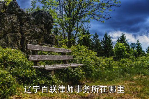 辽宁百联律师事务所在哪里