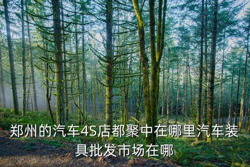 郑州的汽车4S店都聚中在哪里汽车装具批发市场在哪
