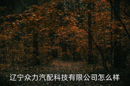 平湖钟埭众力汽配厂地址，平湖市钟埭有家做汽车方向盘的厂在哪里