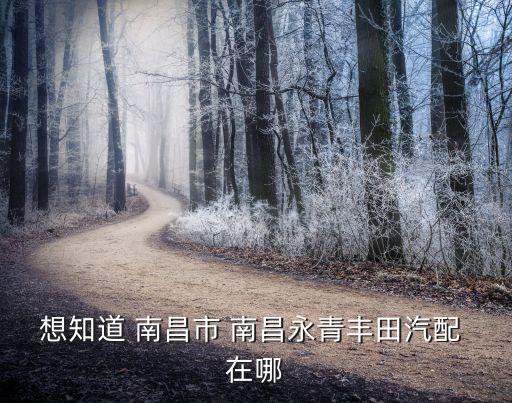 想知道 南昌市 南昌永青丰田汽配 在哪