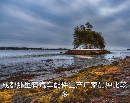 成都那里有汽车配件生产厂家品种比较多
