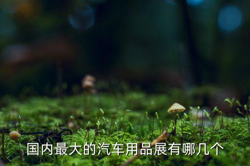 国内最大的汽车用品展有哪几个