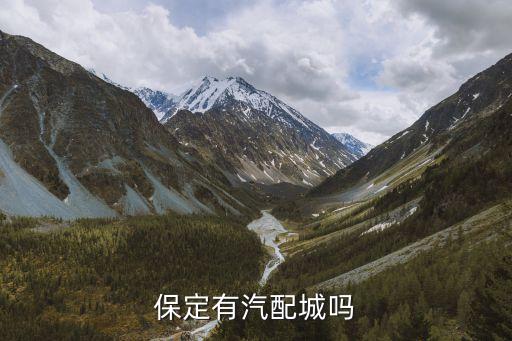 保定有汽配城吗