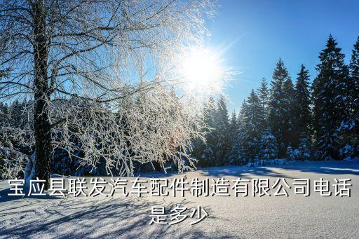 宝应县联发汽车配件制造有限公司电话是多少