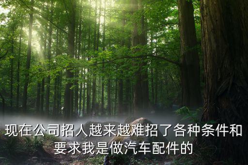 现在公司招人越来越难招了各种条件和要求我是做汽车配件的