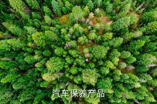 汽车保养产品