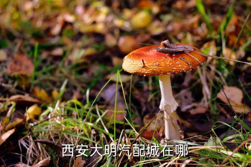 西安大明汽配城在哪