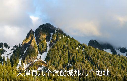 天津津南汽配城的地址，津南哪家汽配城好