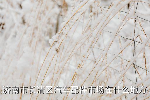 济南市长清区汽车配件市场在什么地方