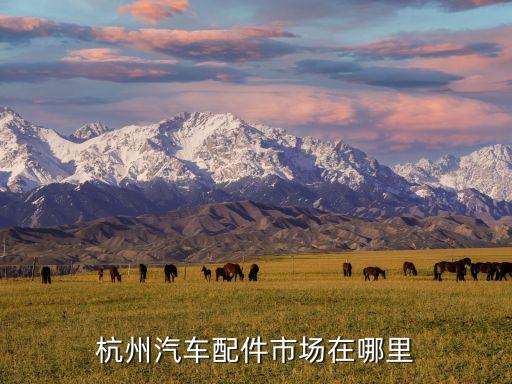 杭州汽车配件市场在哪里