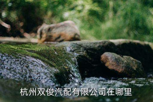 杭州钱塘汽配厂地址查询，杭州有哪些汽车零部件工厂