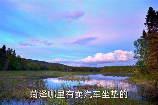 菏泽汽配城座椅改装厂地址，山东菏泽有几个汽配城 分别在哪