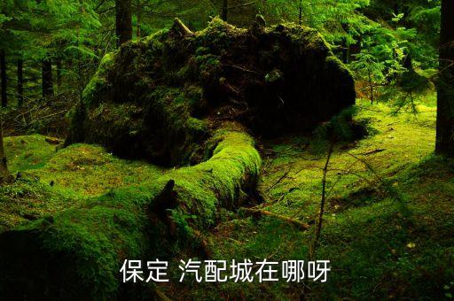 保定 汽配城在哪呀