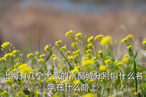 上海有几个大型的汽配城分别叫什么名字在什么路上