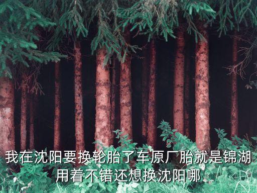 沈阳金鹏汽配厂地址在哪，沈阳汽配在那