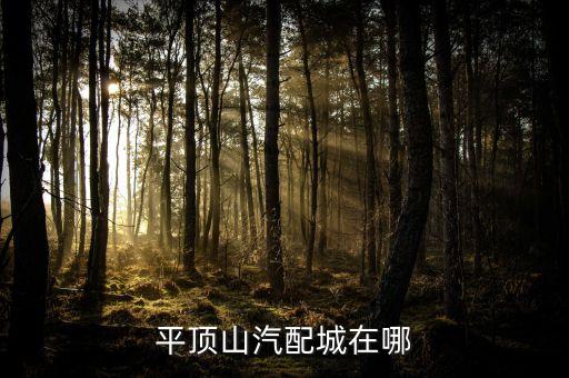 平乐县汽配城地址在哪里，邯郸市有几个汽配城分别在哪里