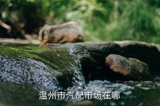 温州市汽配市场在哪