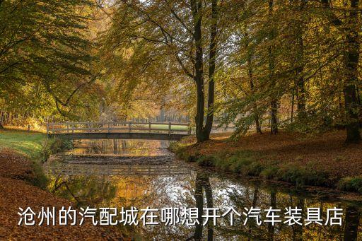沧州市汽配市场地址，沧州汽配城哪个好啊在哪里啊