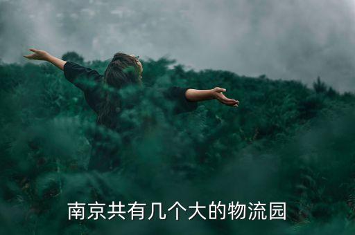 南京共有几个大的物流园