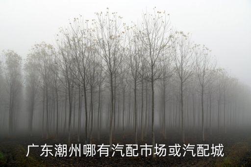 广东潮州哪有汽配市场或汽配城