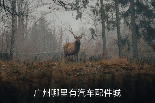 广州哪里有汽车配件城