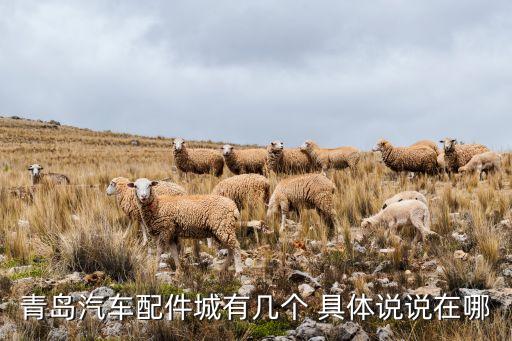 青岛汽车配件城有几个 具体说说在哪