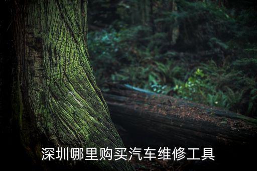 深圳哪里购买汽车维修工具
