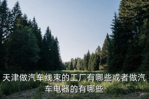 天津做汽车线束的工厂有哪些或者做汽车电器的有哪些