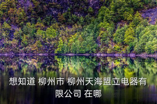 想知道 柳州市 柳州天海盟立电器有限公司 在哪