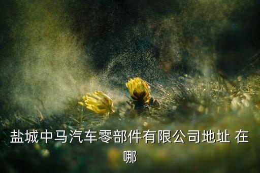 集仕港汽配厂地址查询，武汉佛吉亚内饰部件有限公司地址