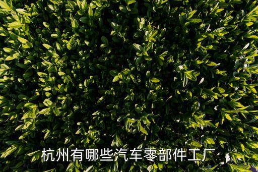 杭州有哪些汽车零部件工厂