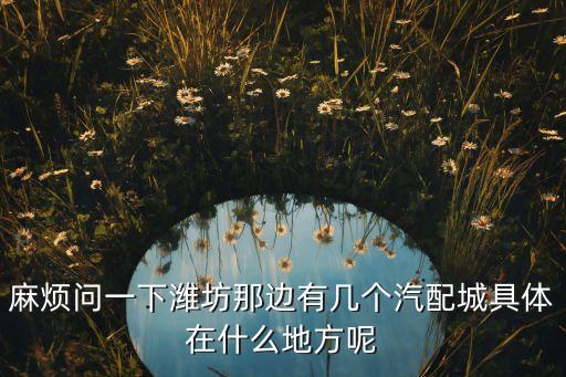 潍坊汽配城油漆厂电话地址，潍坊市那有汽车喷漆店